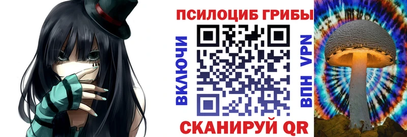 Купить где  Дигора  Галлюциногенные грибы GOLDEN TEACHER 