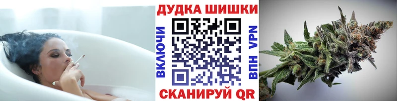 Конопля план  Купить где  Дигора 